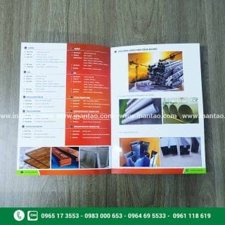 in catalogue giá rẻ